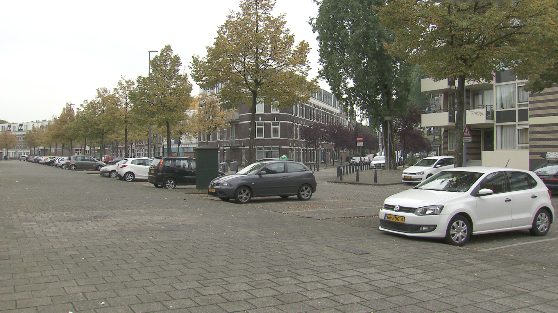 11743444_massauhaven1.jpg