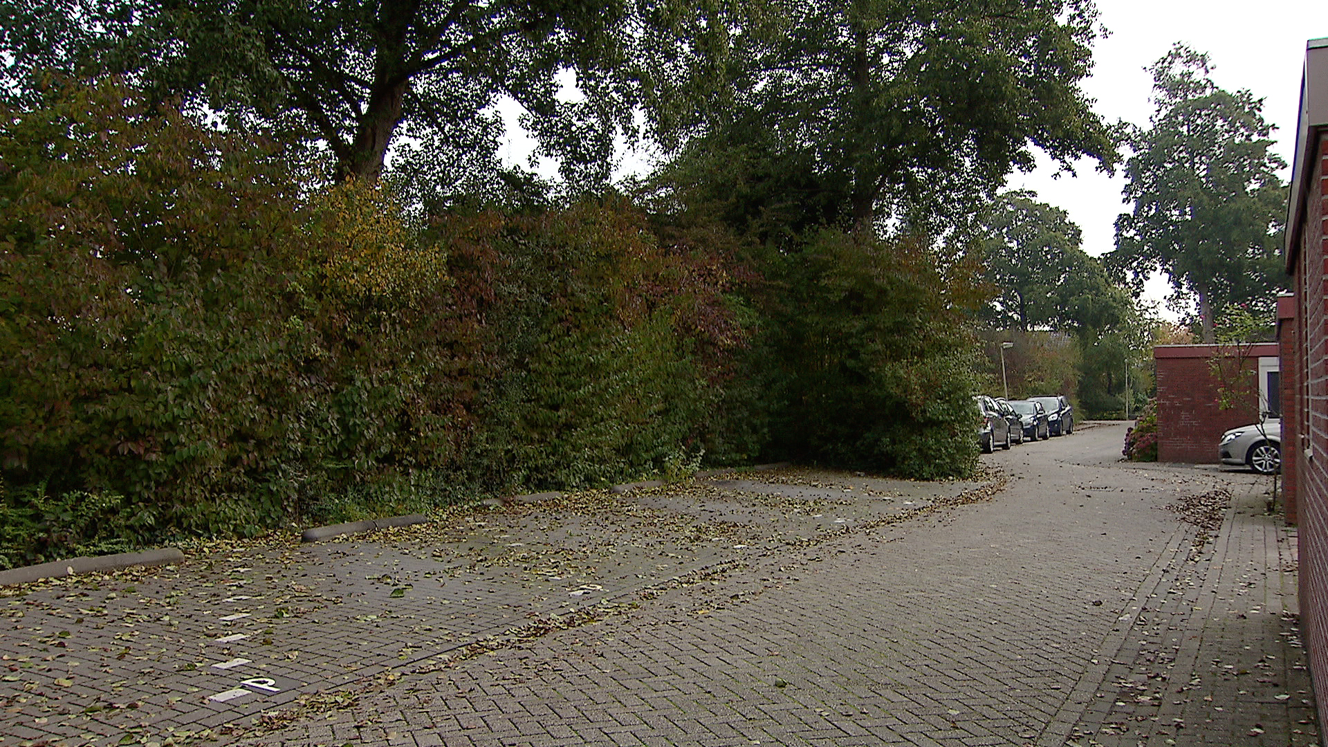 purmerendkfc_parkeerpluimgras.jpg