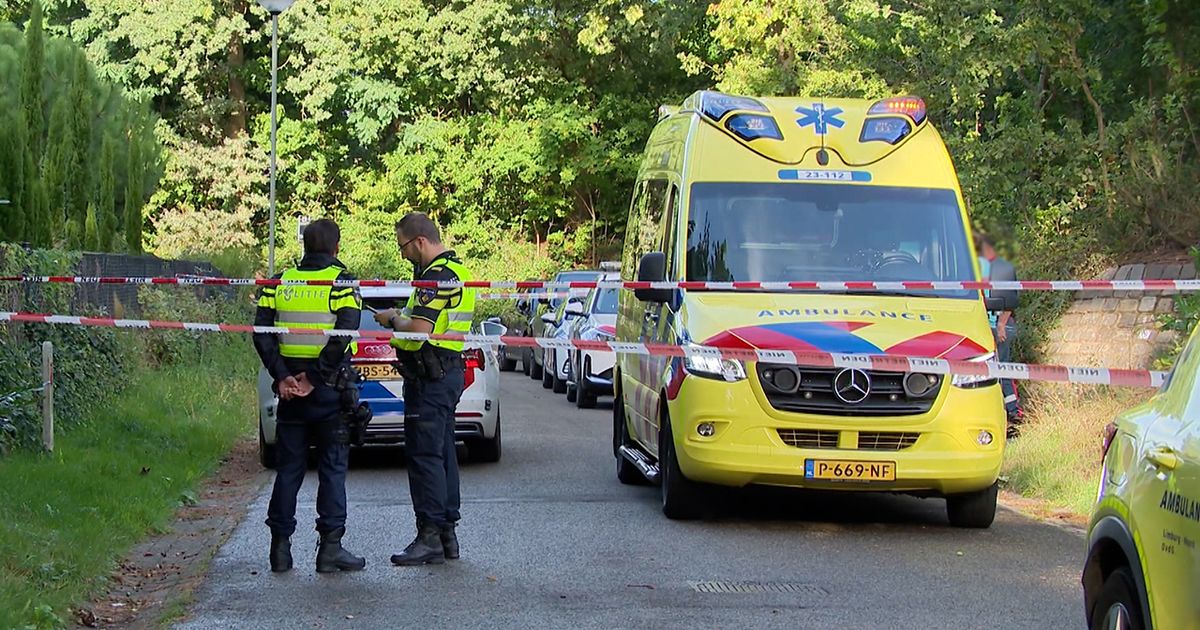 Man (66) neergestoken in eigen voortuin