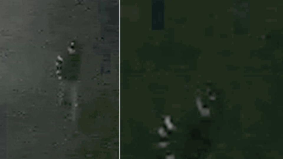 tcm17298031_large.jpg