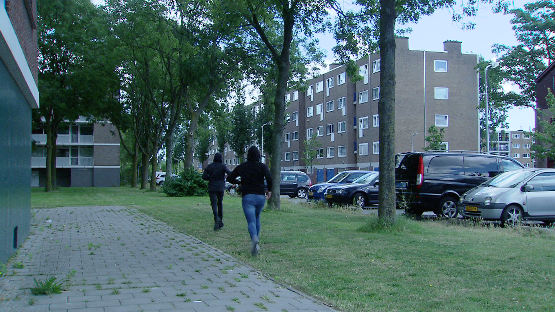 119329_zaandam_reco3.jpg