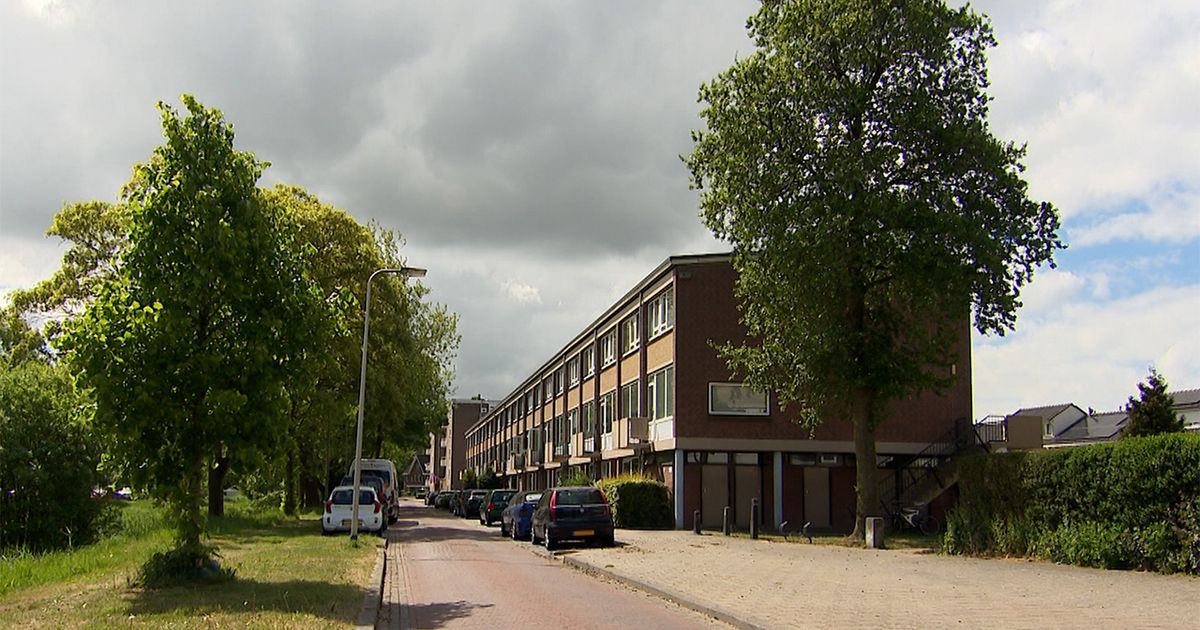 Schot gelost tijdens ‘vergisoverval’