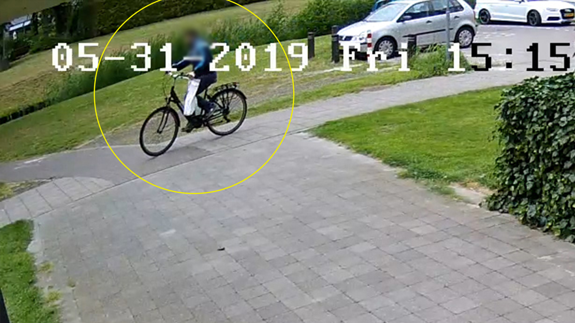 119294_vianen_getuigefietser.jpg