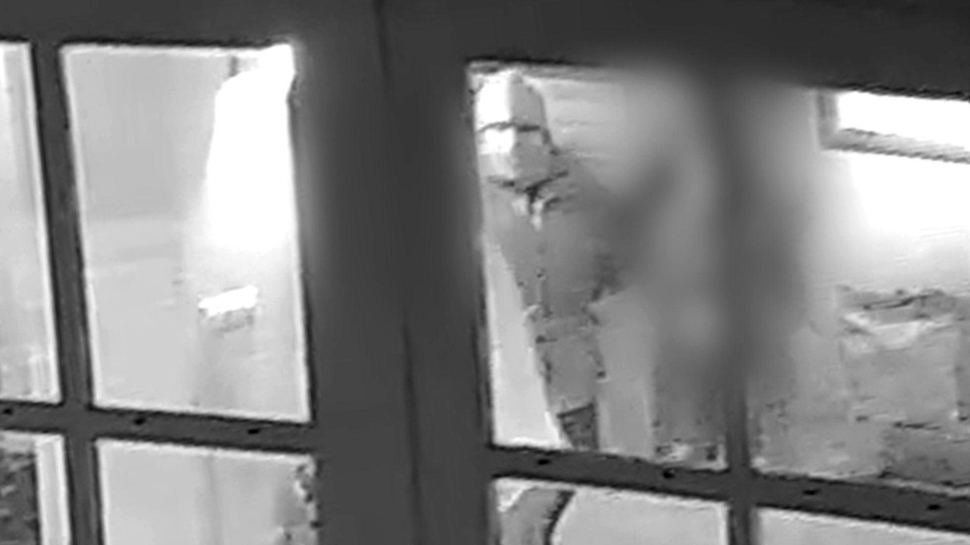 119132_beekndonk_dad5.jpg