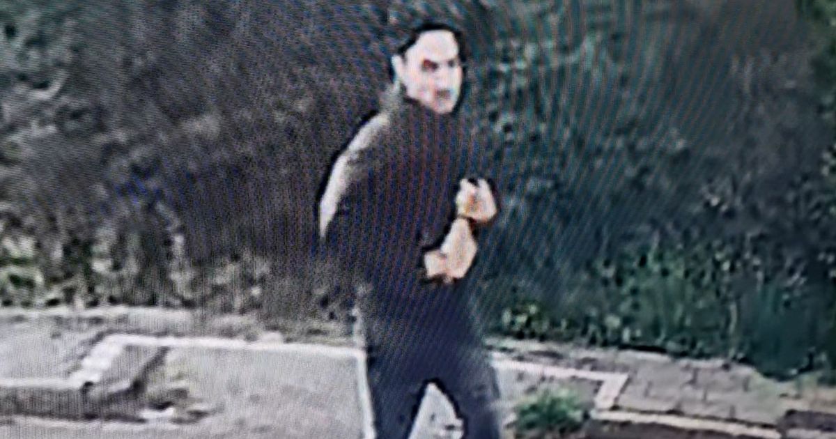 Oplichter besteelt oudere dame