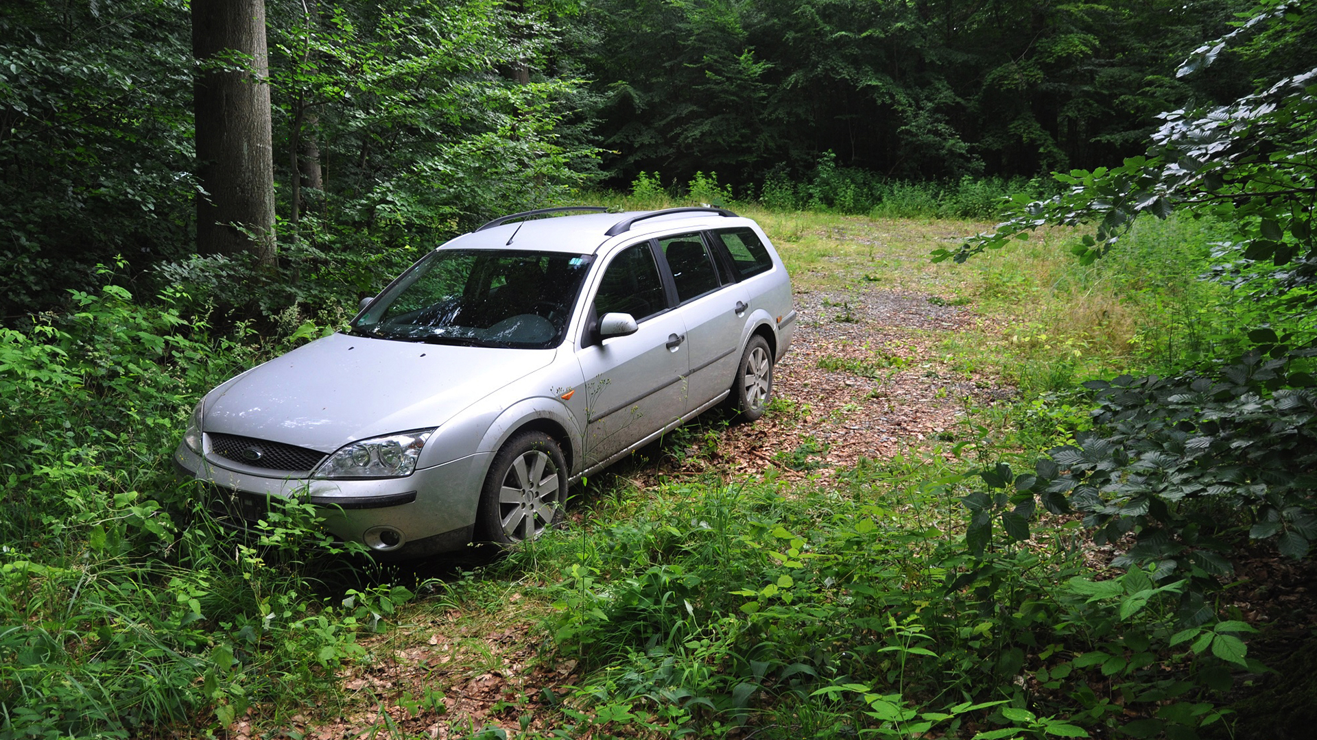 117319_dtslnd_ford.jpg