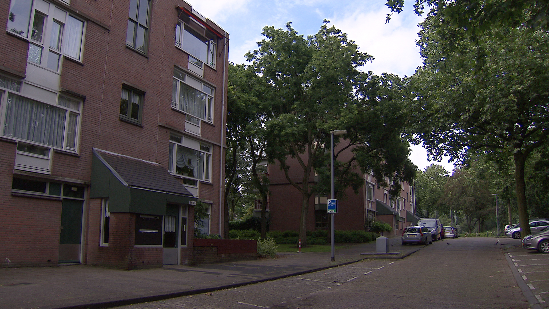 rotterdamcrooswijk_pd_ooienpad.jpg