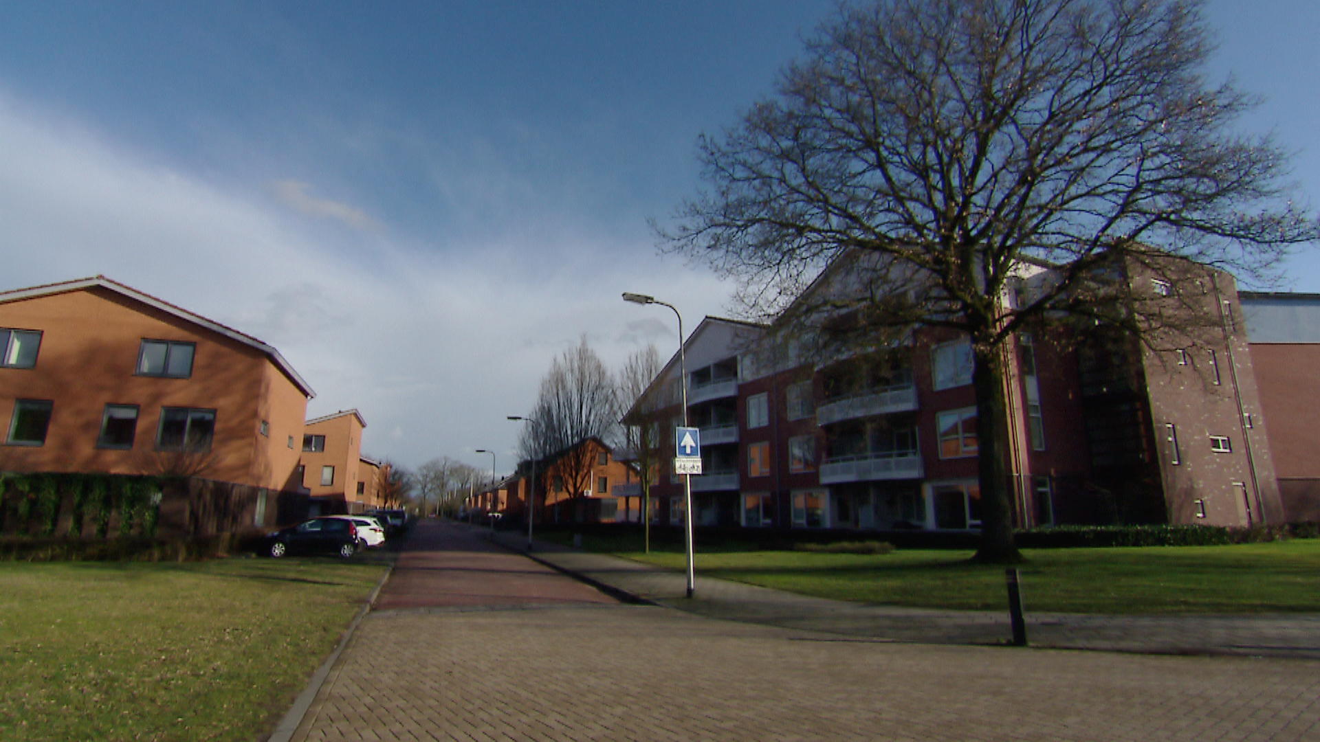 119114_losser_lijsterbes1.jpg