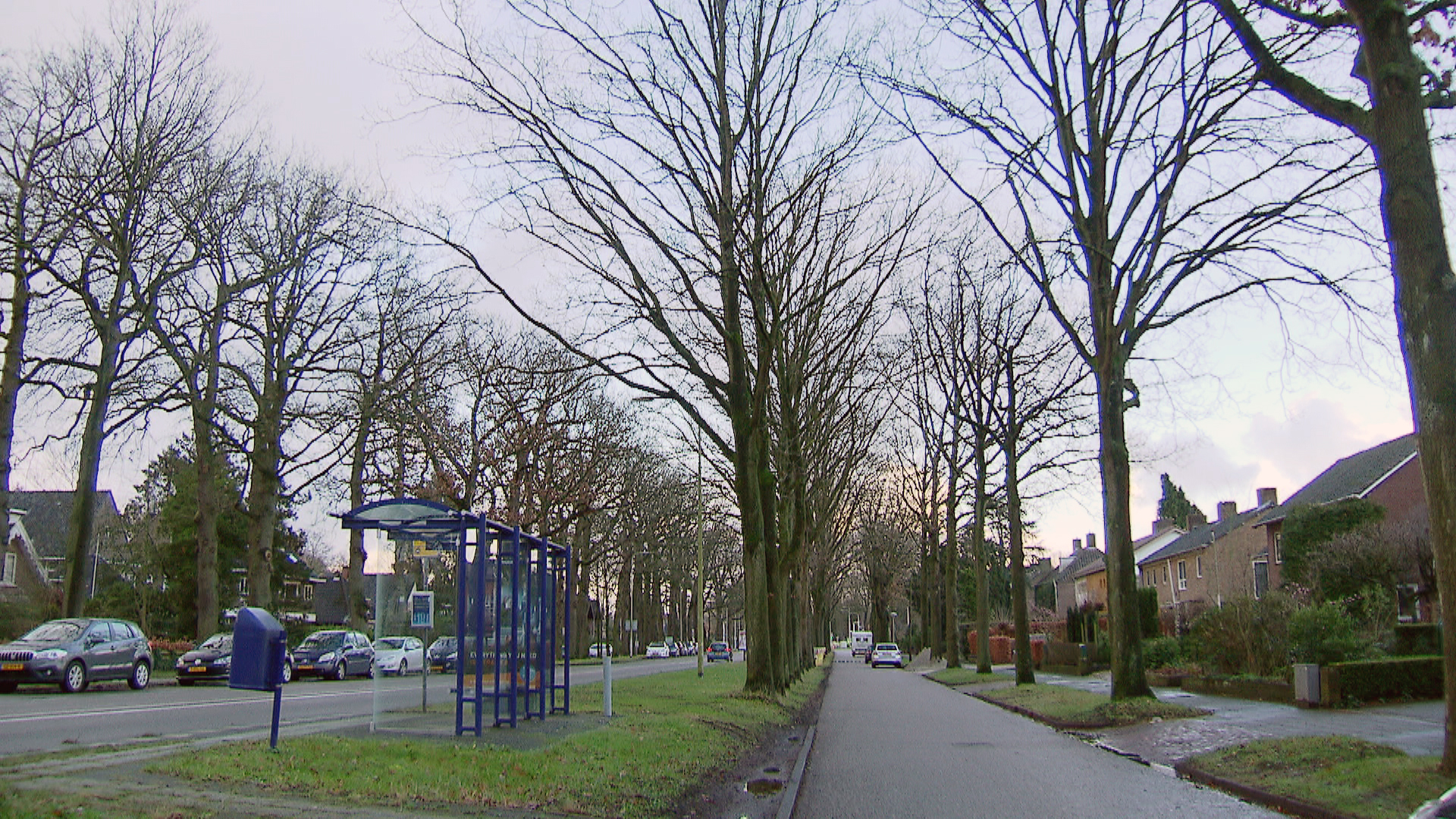 119024_zwolle_wipstrikkerallee.jpg