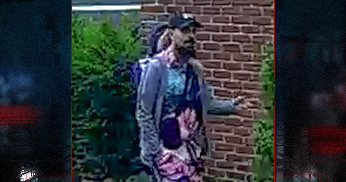 Verdachten van inbraak duidelijk op beeld