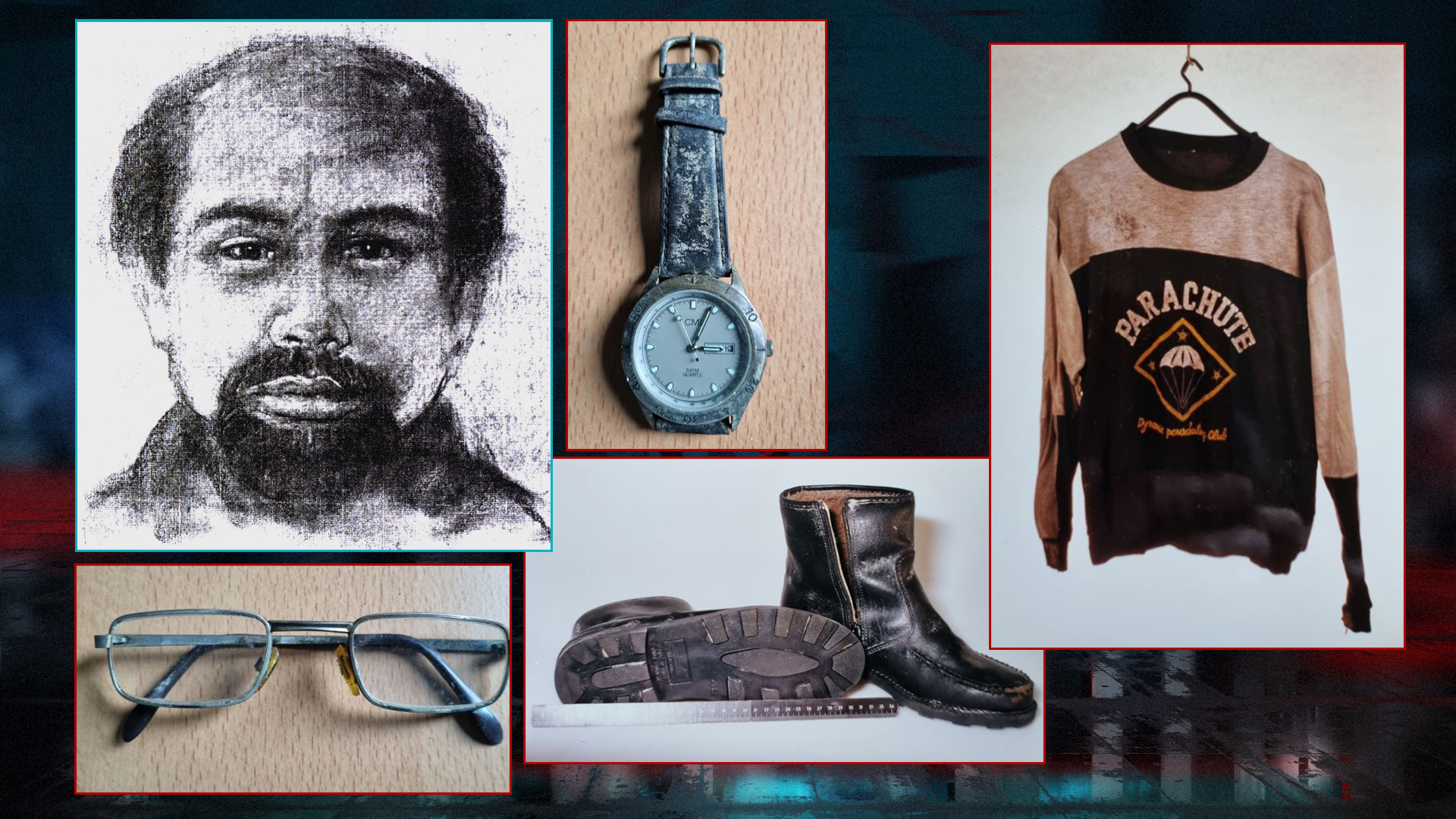 252467 Bergen Meerluik