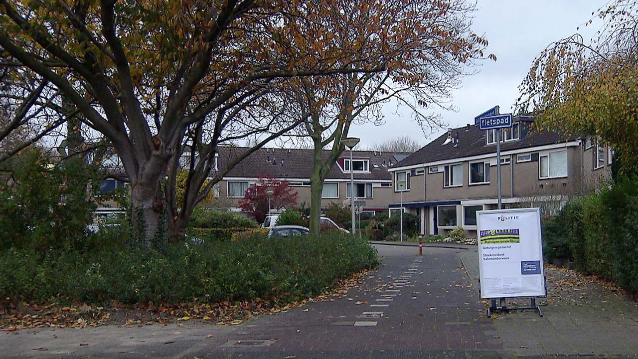 202614_spijknss_pdval2.jpg