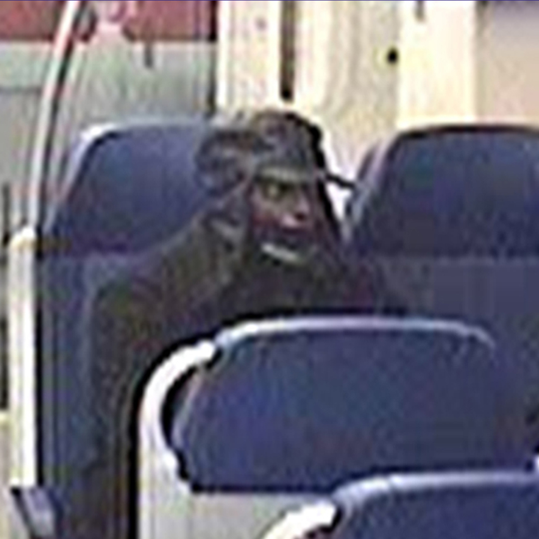 212189_bussum_dadh-1 kopie.jpg
