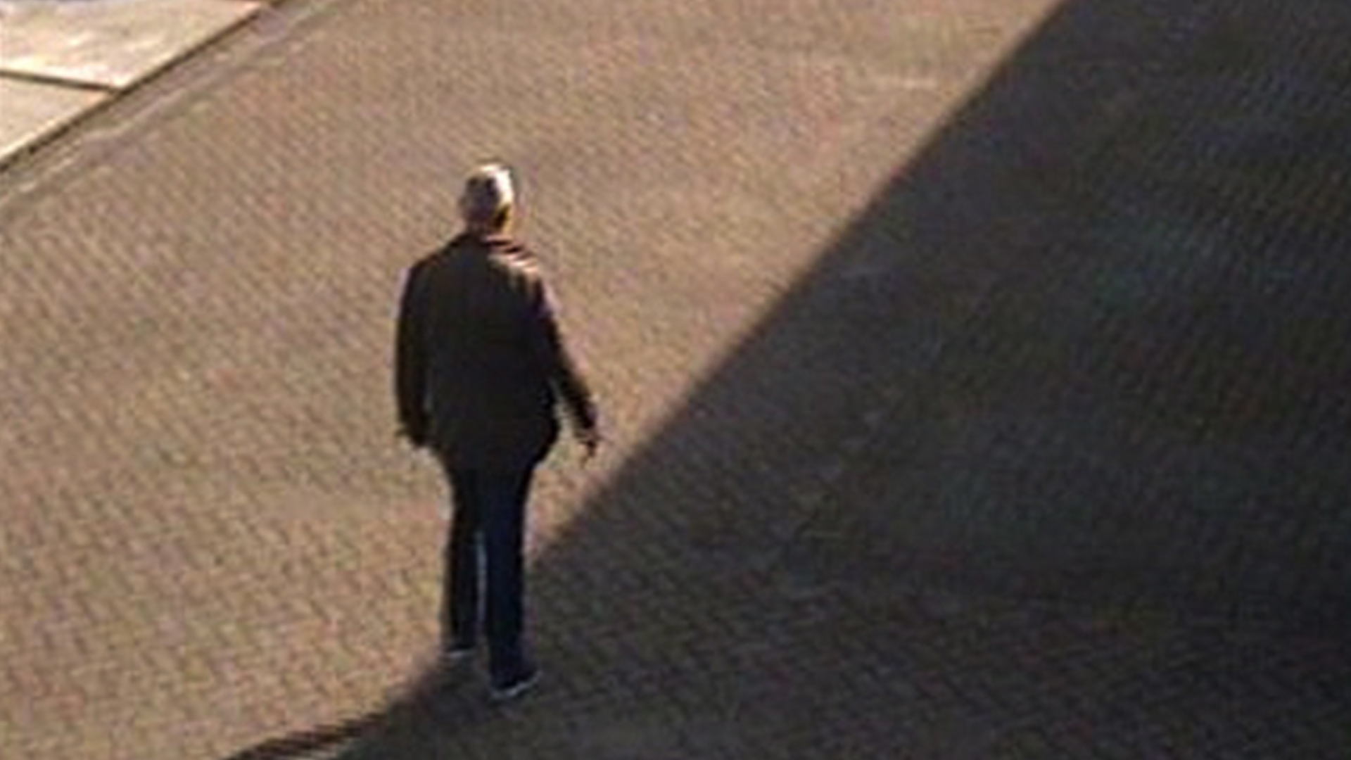 160482_demeernwout_dadc.jpg