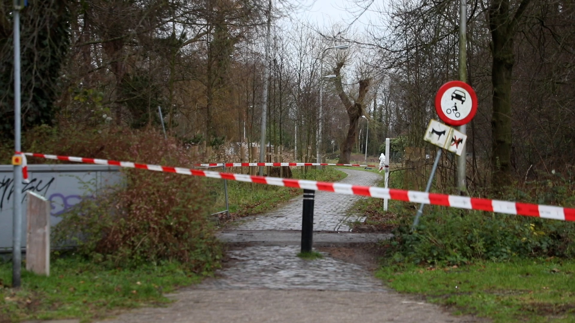 242038_leidschndm_regio02.jpg