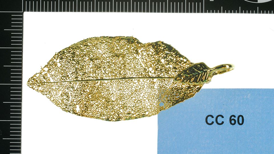 tcm17307739_large.jpg