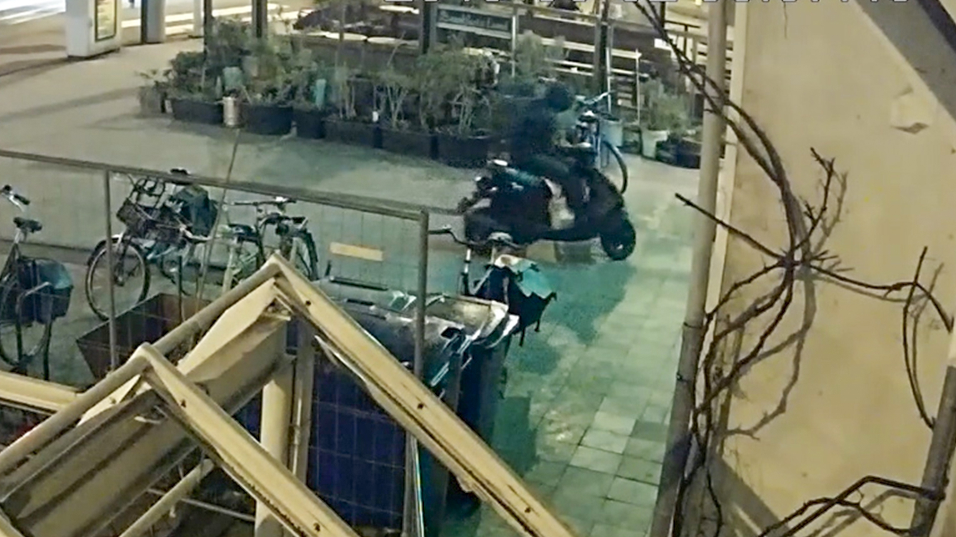 119171_amsterdam_dadscooter.jpg
