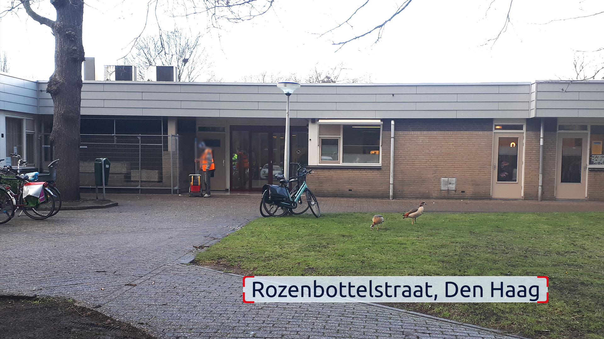 donvrijmoet_rozenbottel__1_.jpg