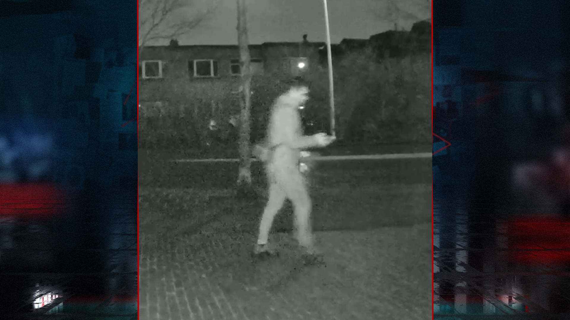 222097_leiden_dadb.jpg