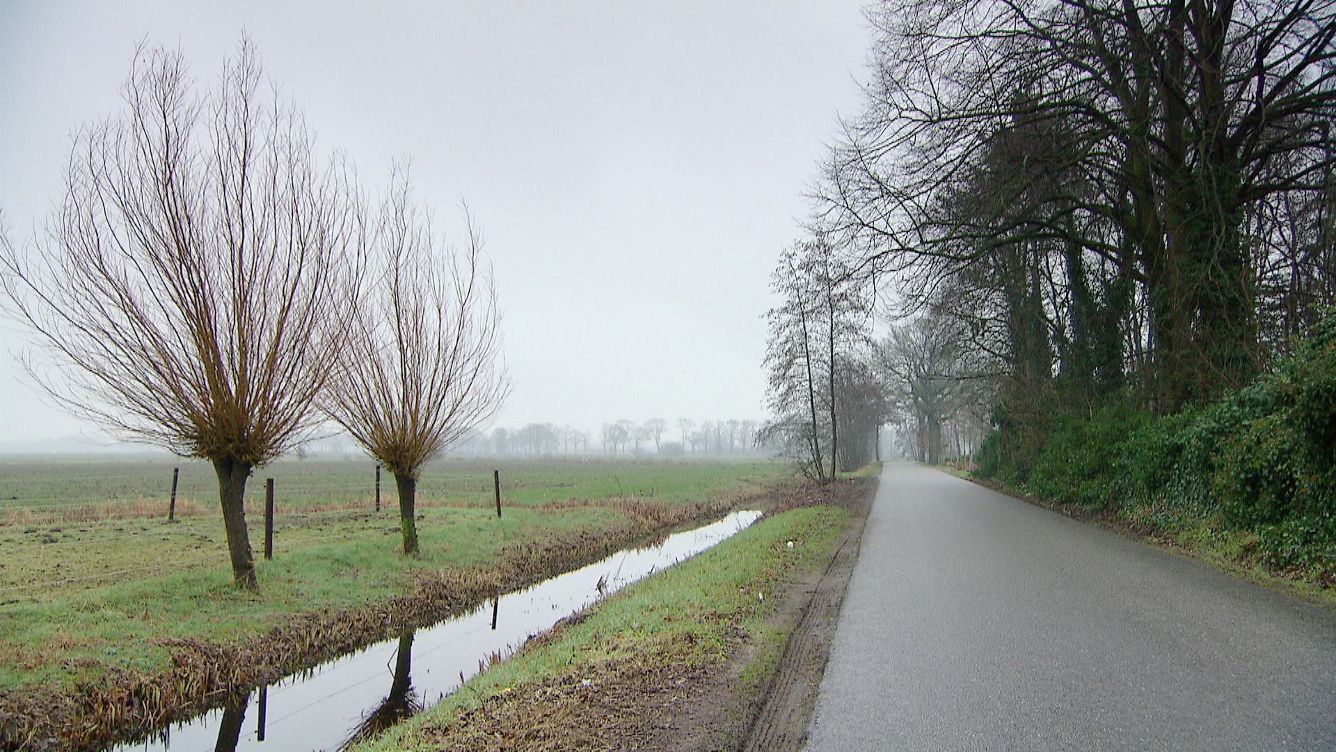 119065_hollvld_langedijk.jpg