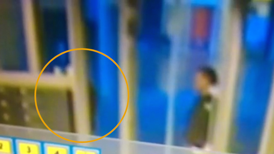 tcm17346358_large.jpg