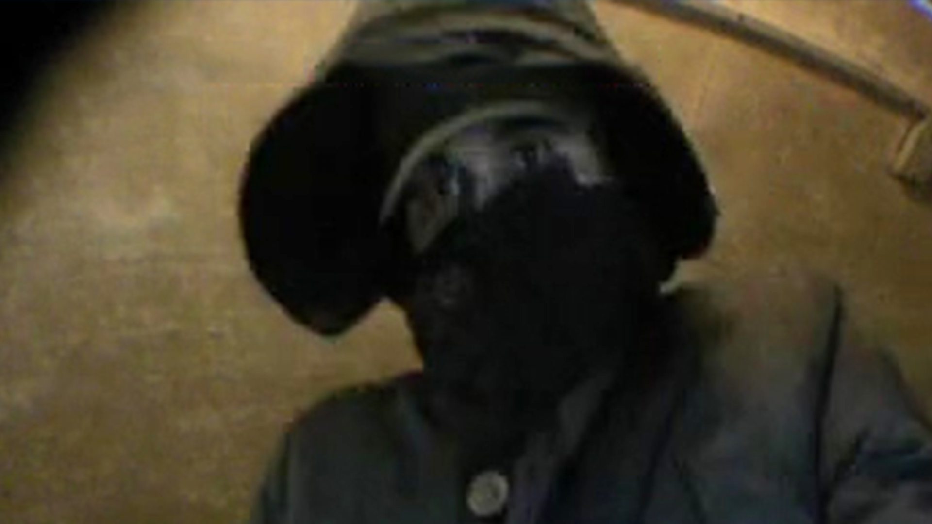 118344_schiedam_dadc.jpg