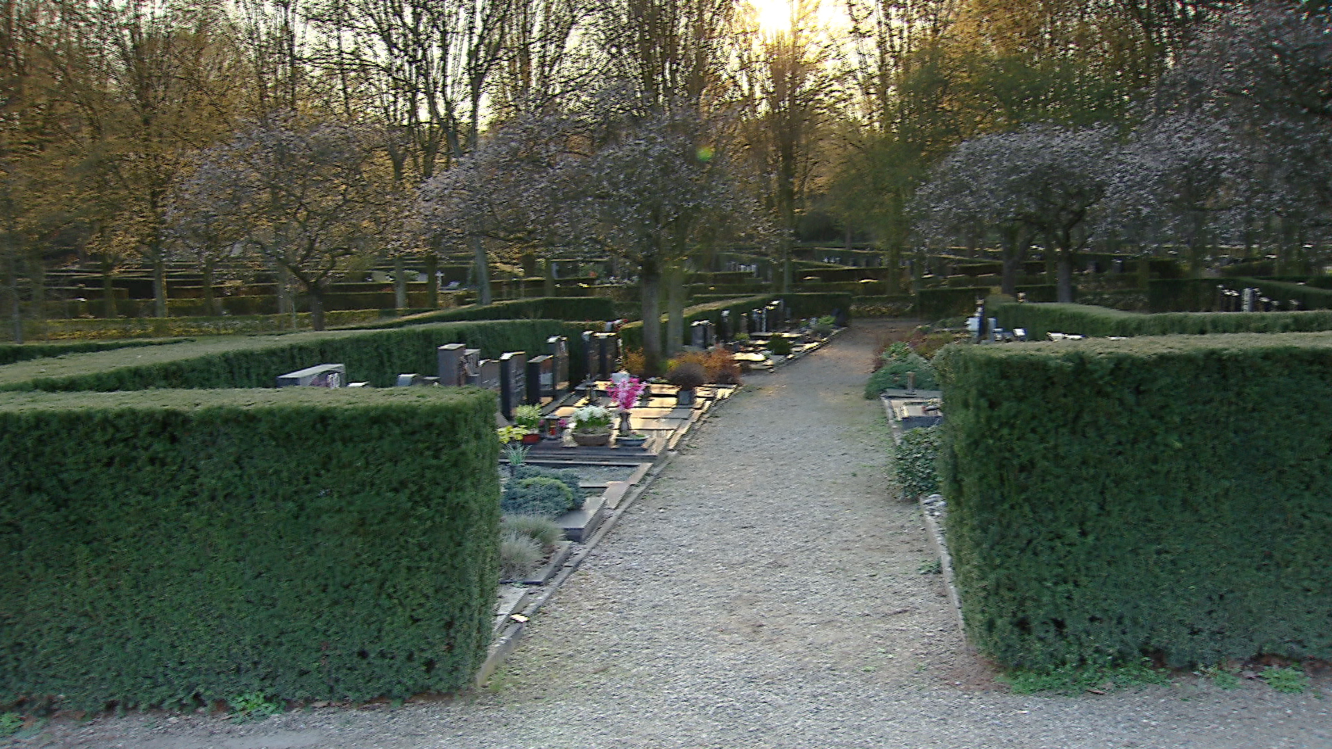 119145_cc-roermnd_pd3.jpg