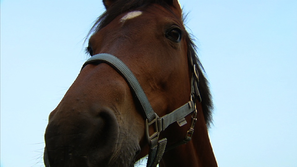 tcm17322322_large.jpg