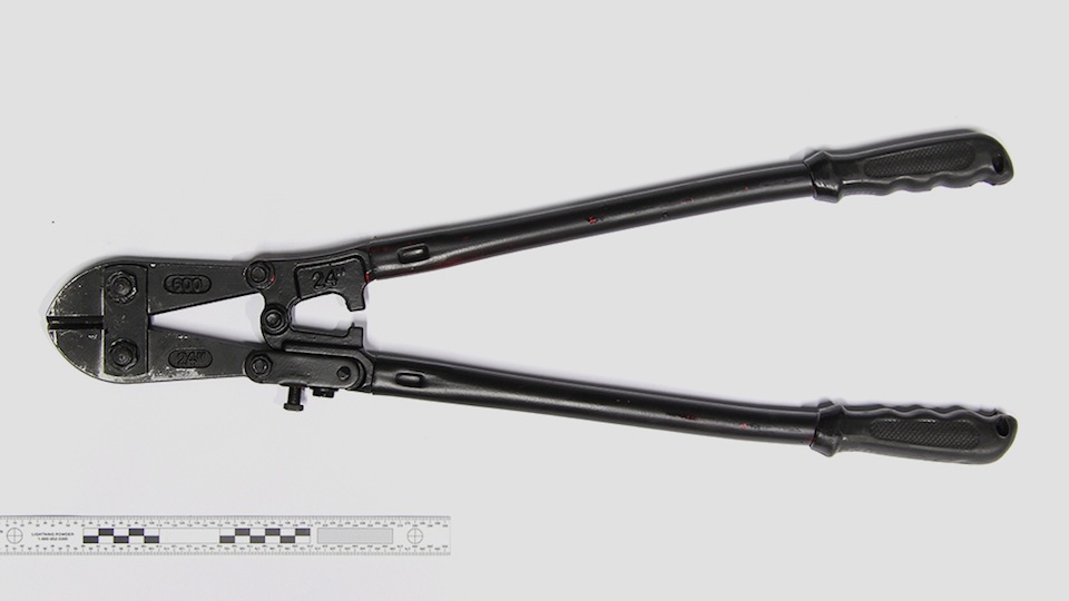 tcm17308164_large.jpg