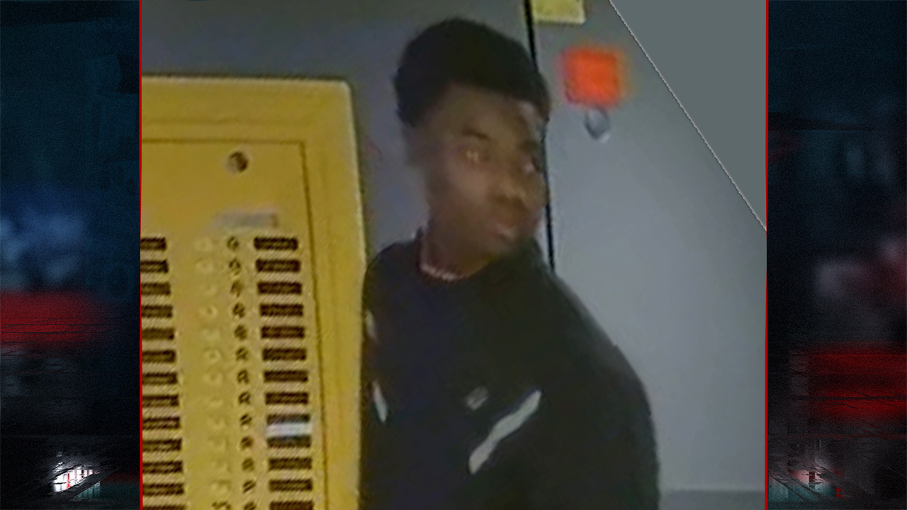 242278 Fraude N H12 Castricum