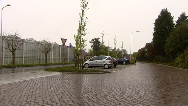 naaldwijk_ontmoeting_tcm8-273742.jpg