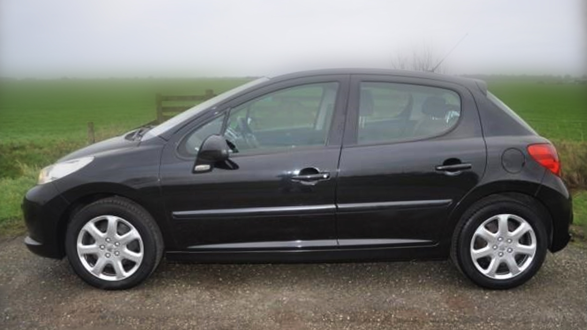 118453_zwaag_soortpeugeot.jpg