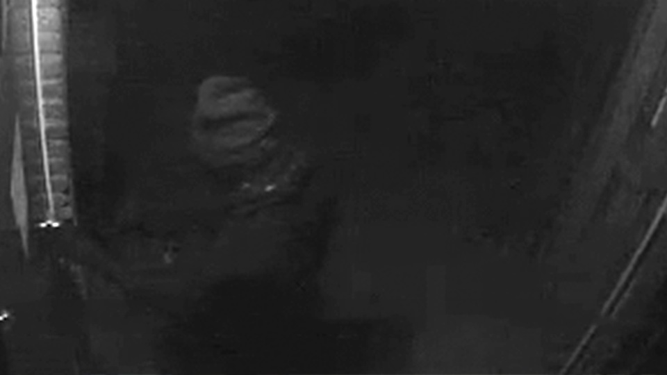 tcm17339678_large.jpg