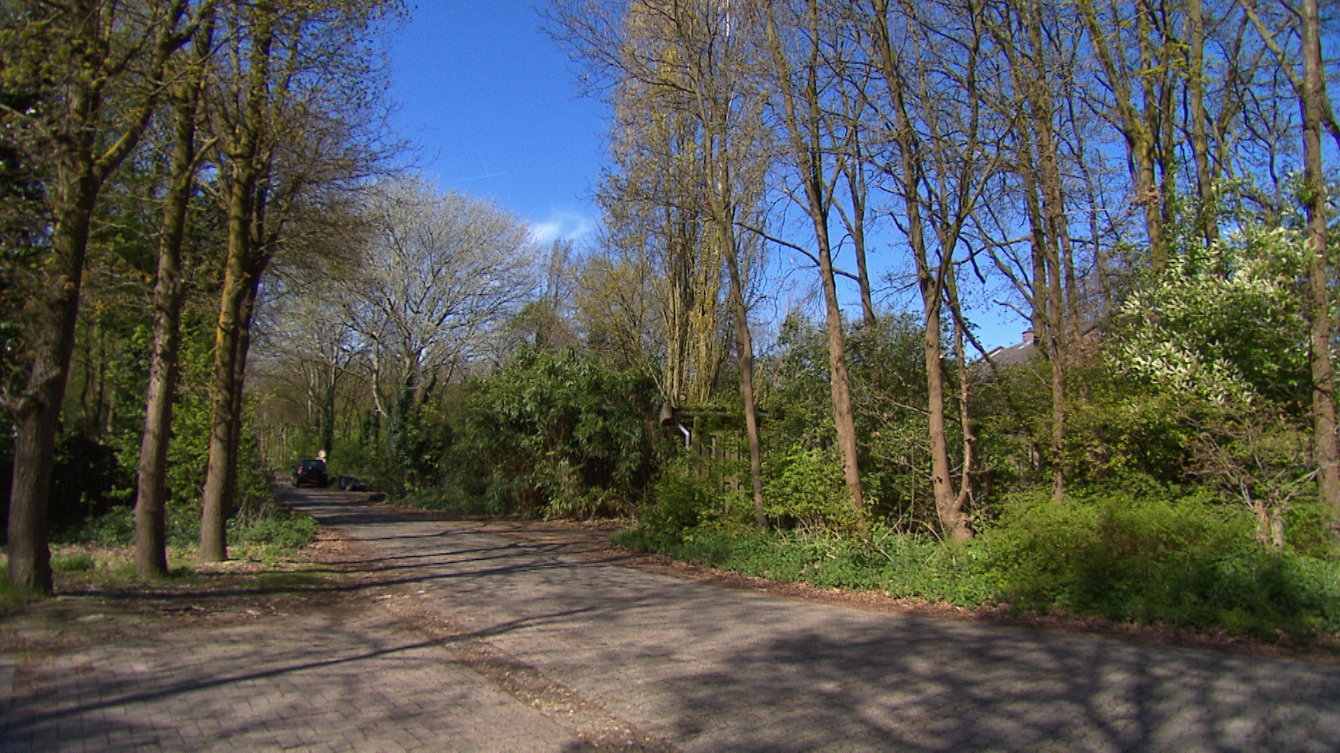 160312_pdgarage2.jpg