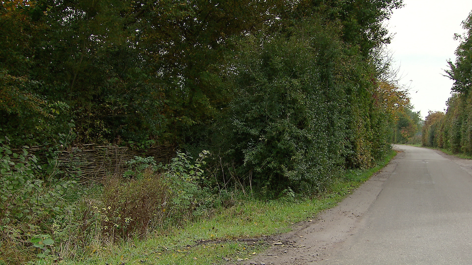 tcm17343904_large.jpg
