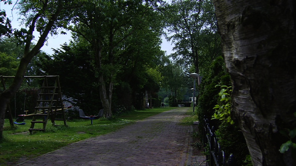 tcm17300272_large.jpg
