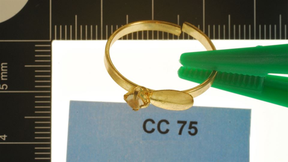 tcm17307737_large.jpg