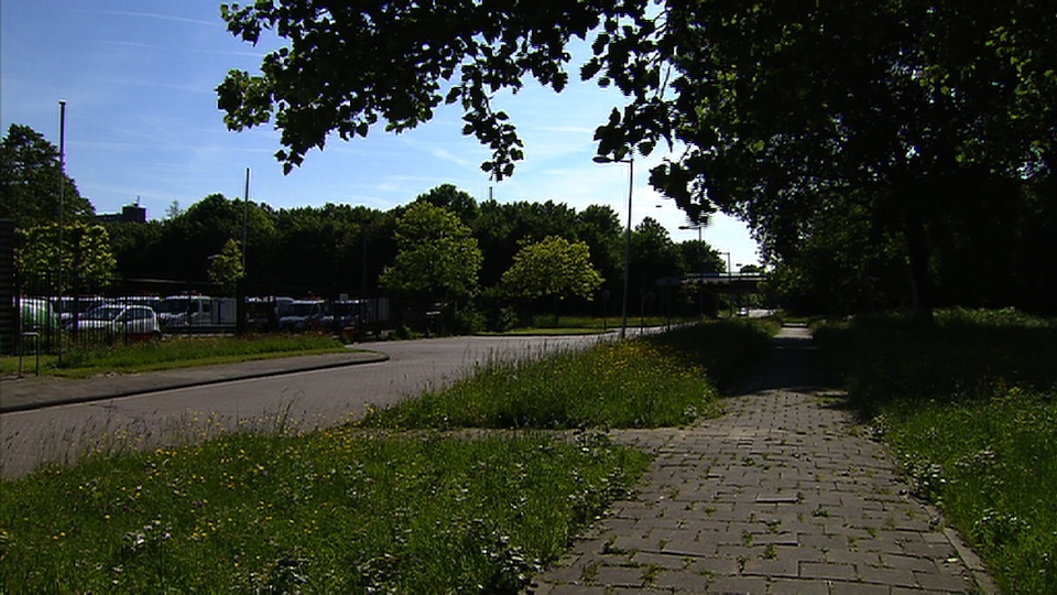 tcm17321672_large.jpg
