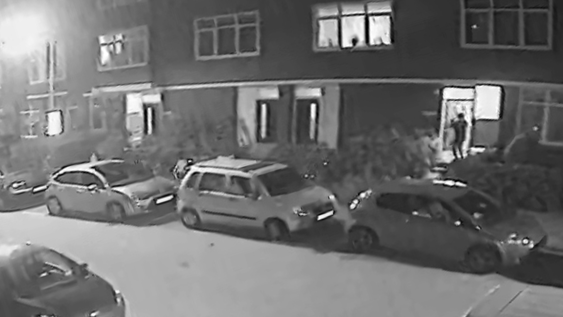232129_rotterdam_daders.jpg