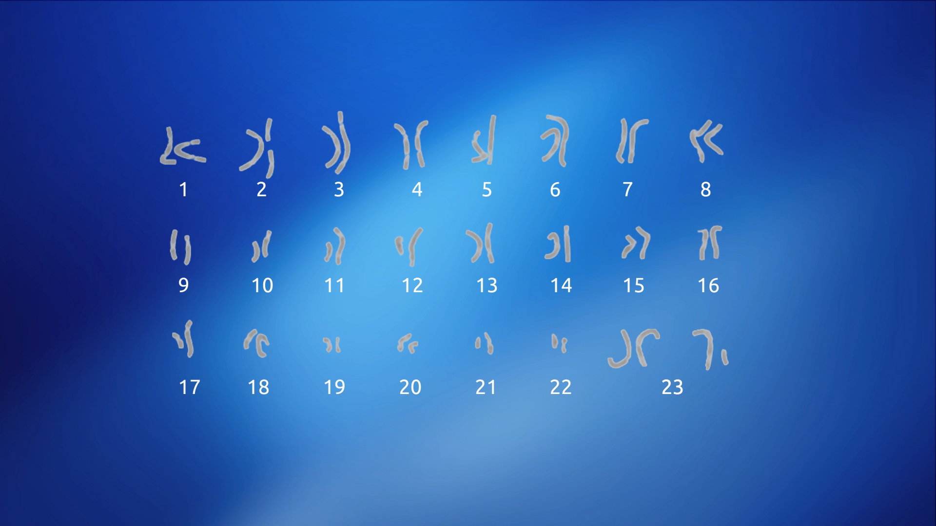dnaonderzoeknikky_dna_still1.jpg