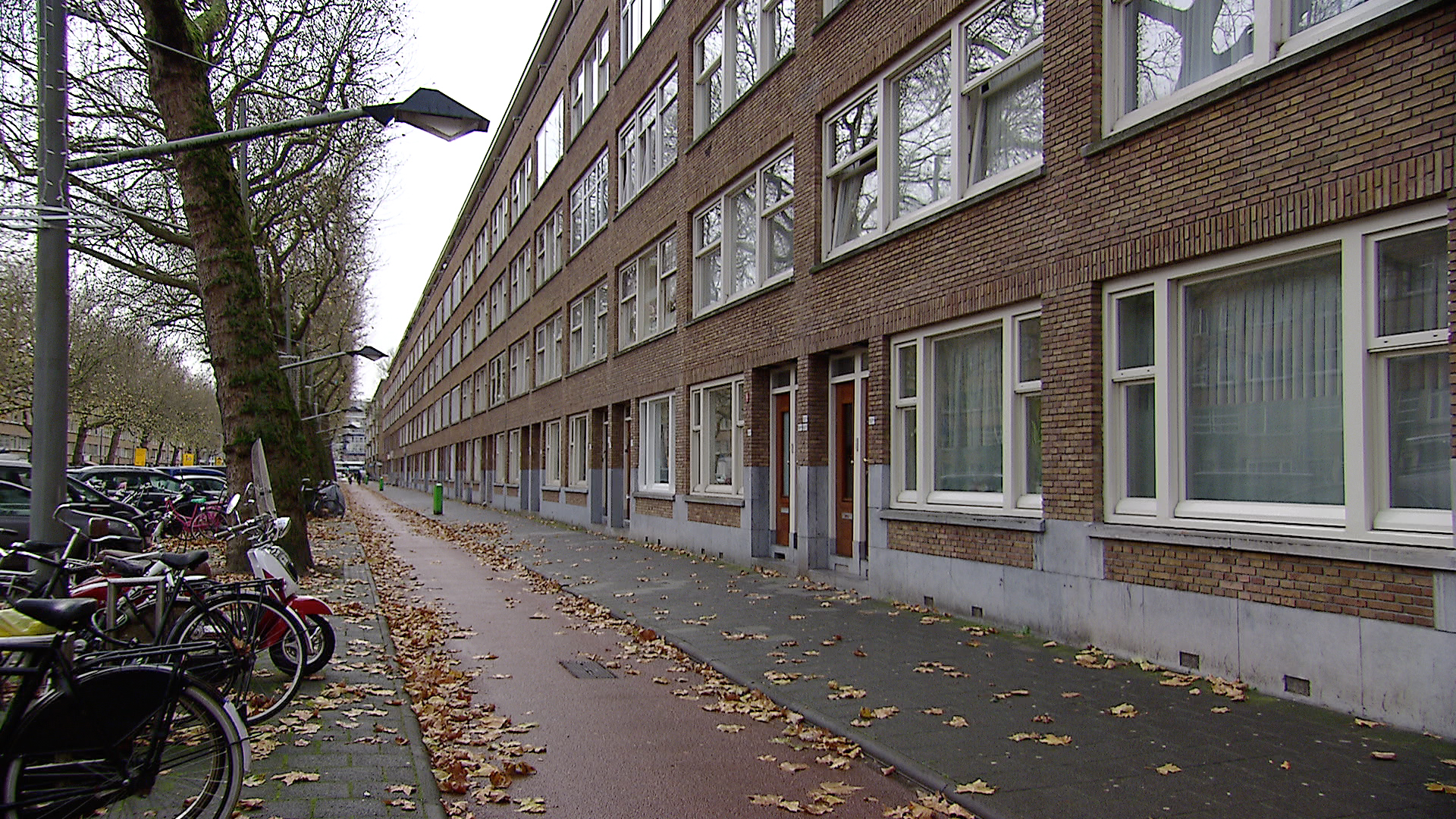 117538_rotterdam_pd3.jpg
