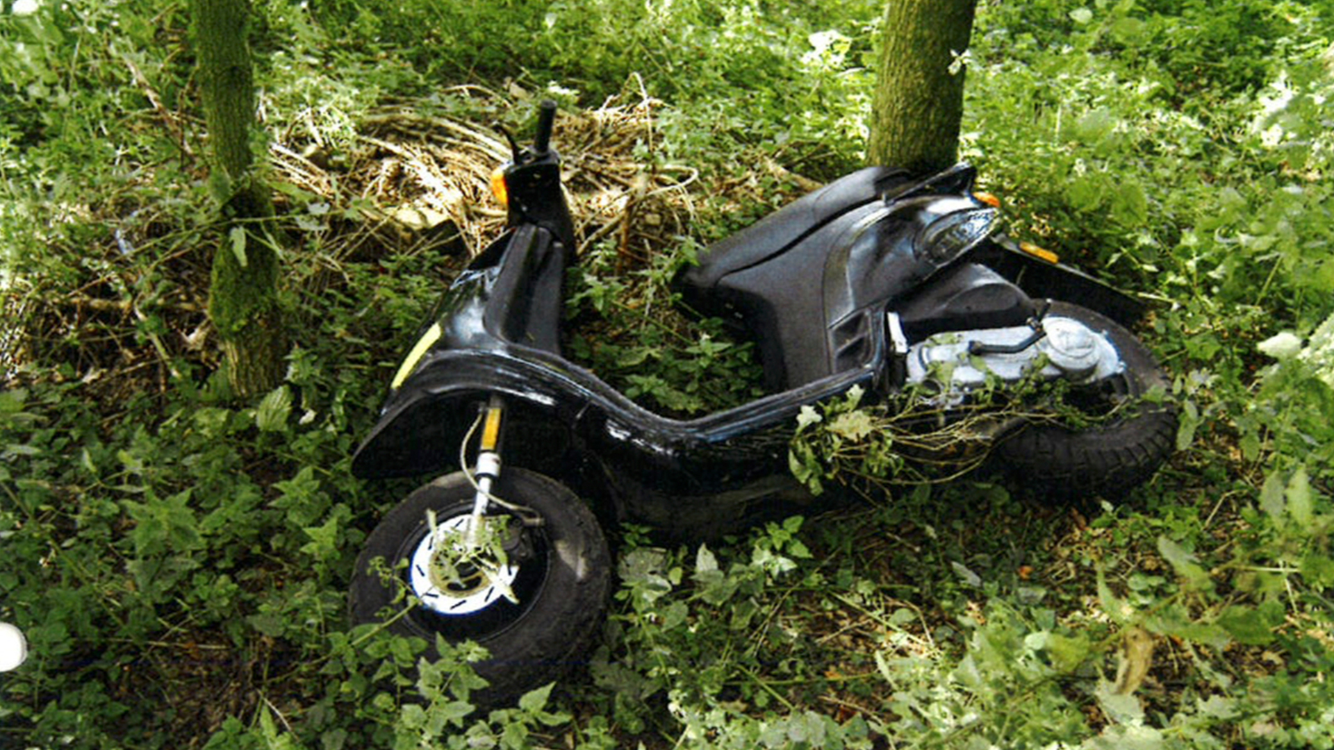 118512_cc-esbeek_vindscooter2.jpg