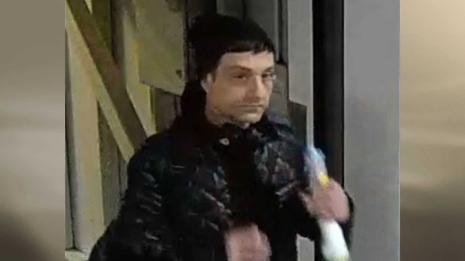 dumitru_bbso2.jpg