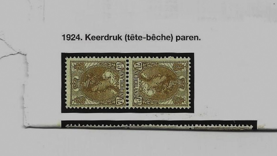 tcm17336879_large.jpg