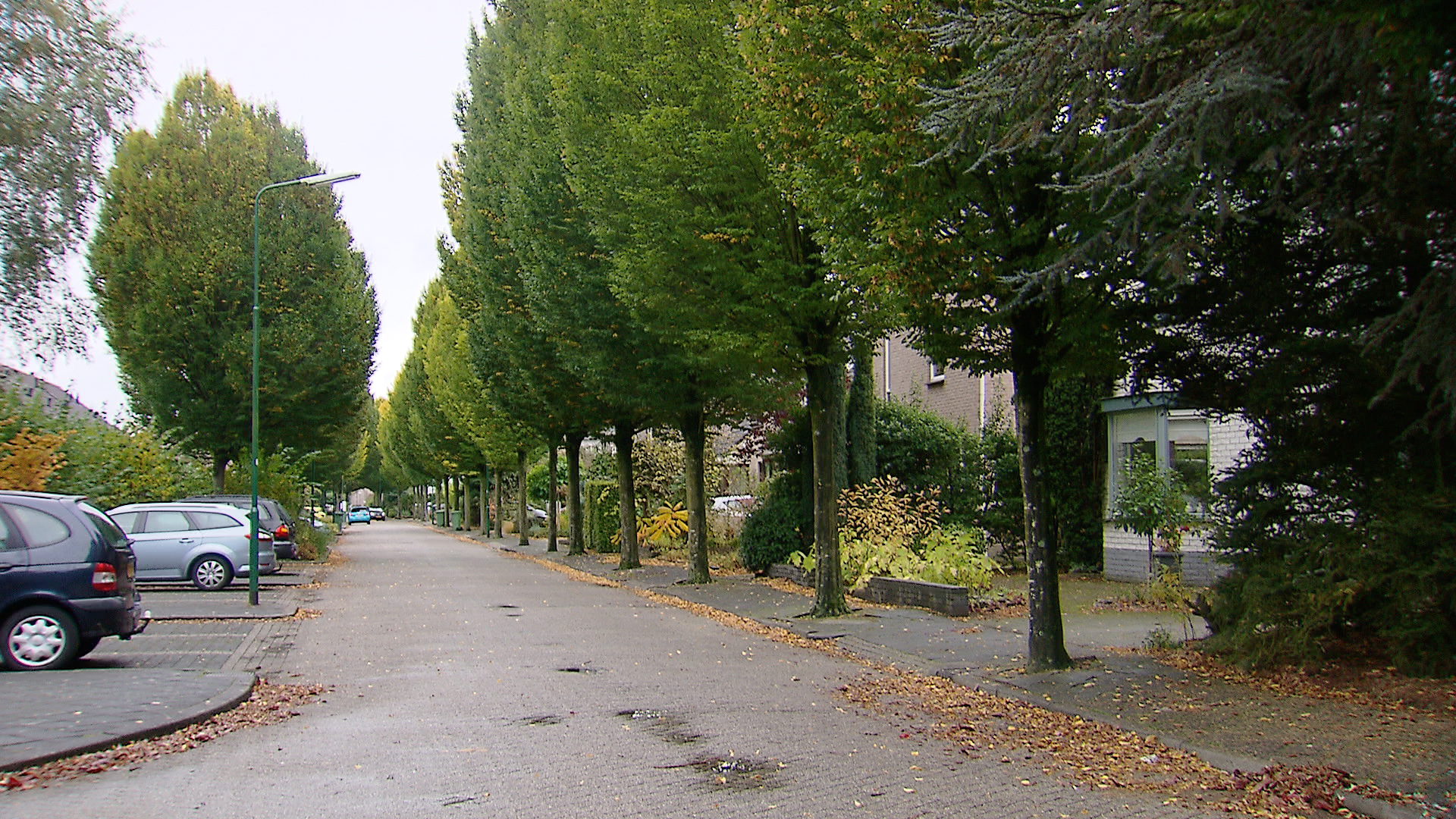 160492_almere_ali_motamed_apollovlinder.jpg