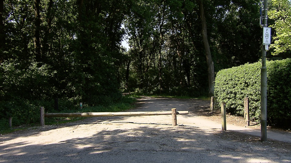tcm17340505_large.jpg