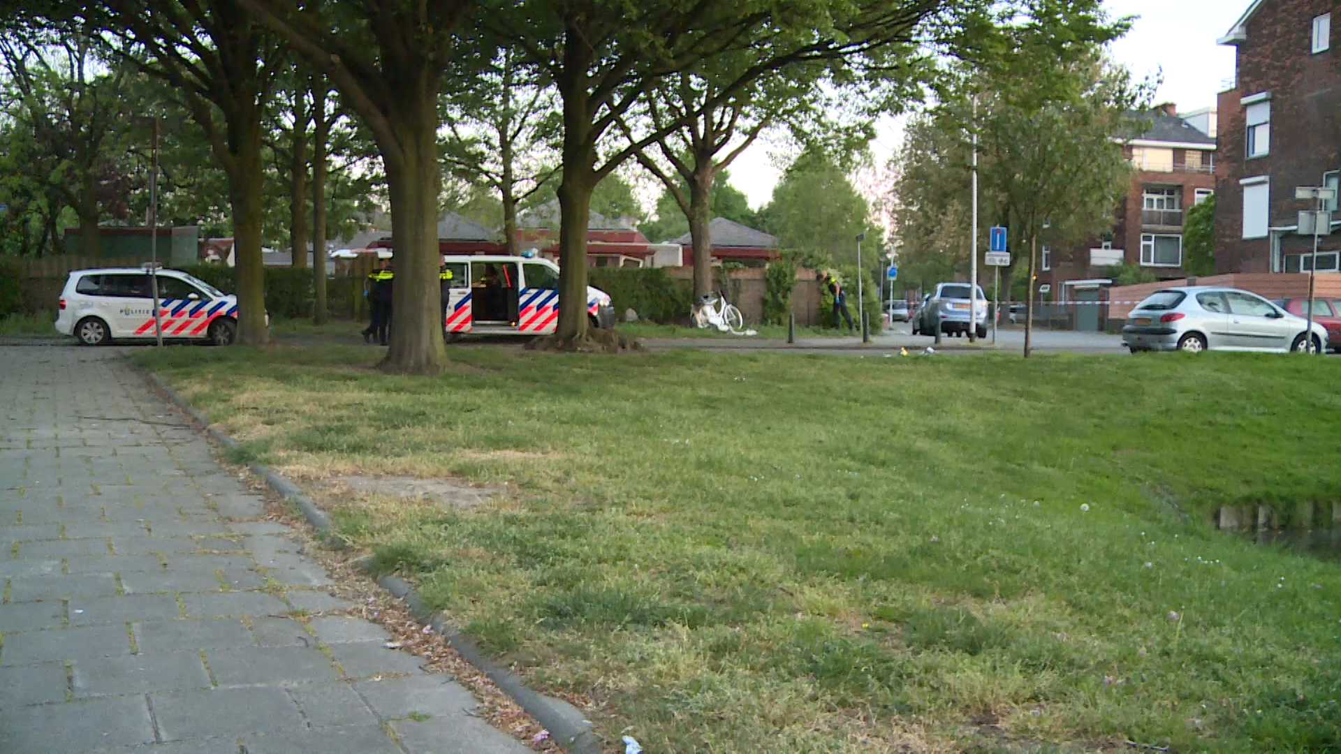 tr03.jpg