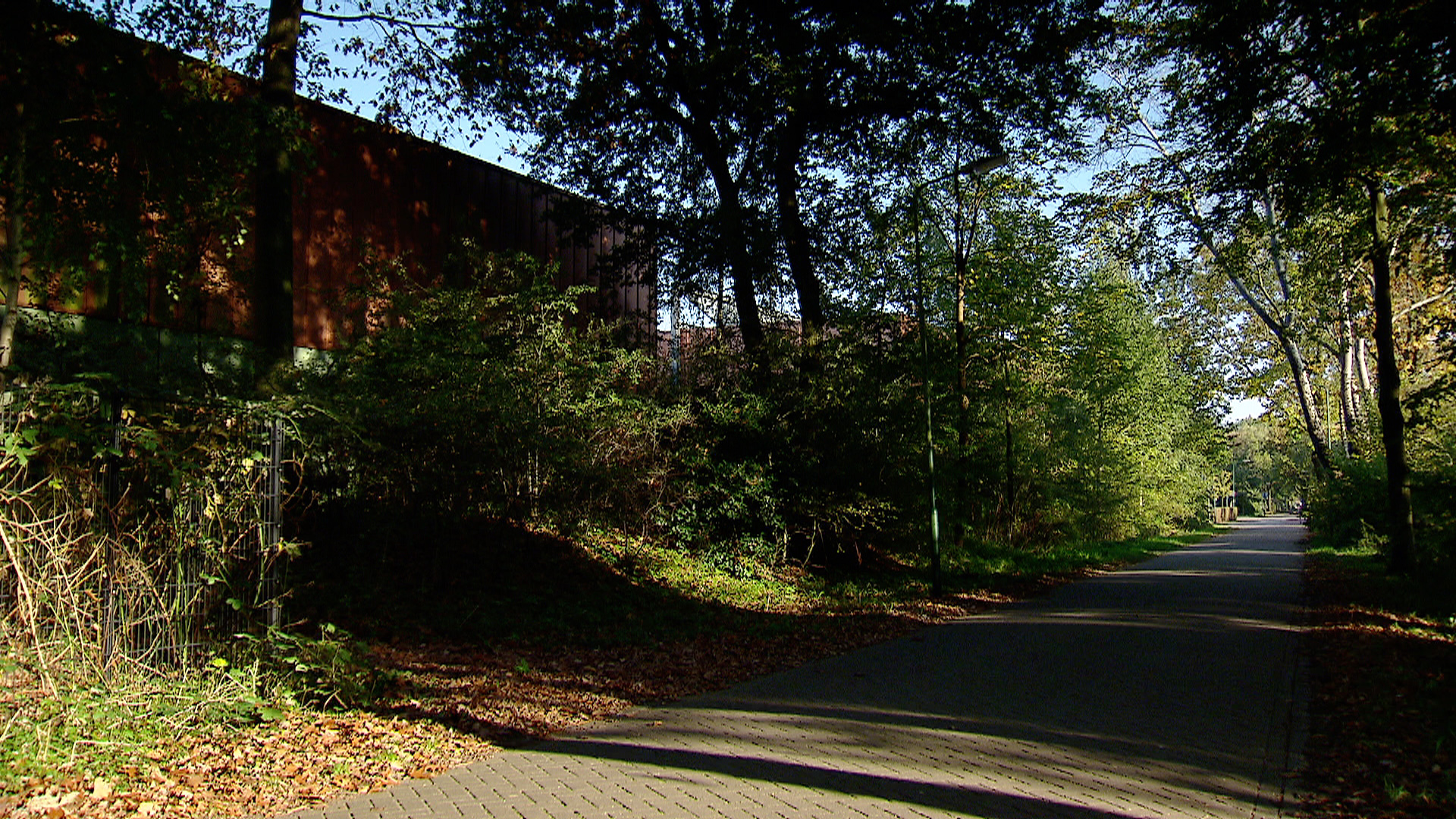 119651_Bilthoven_plek5jongens.jpg