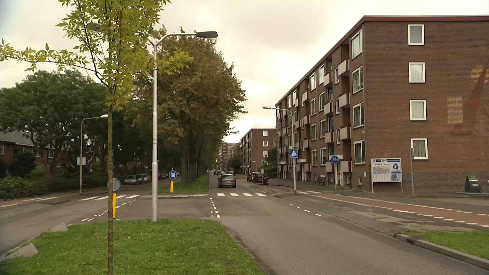 117581_zliedregtvlucht.jpg