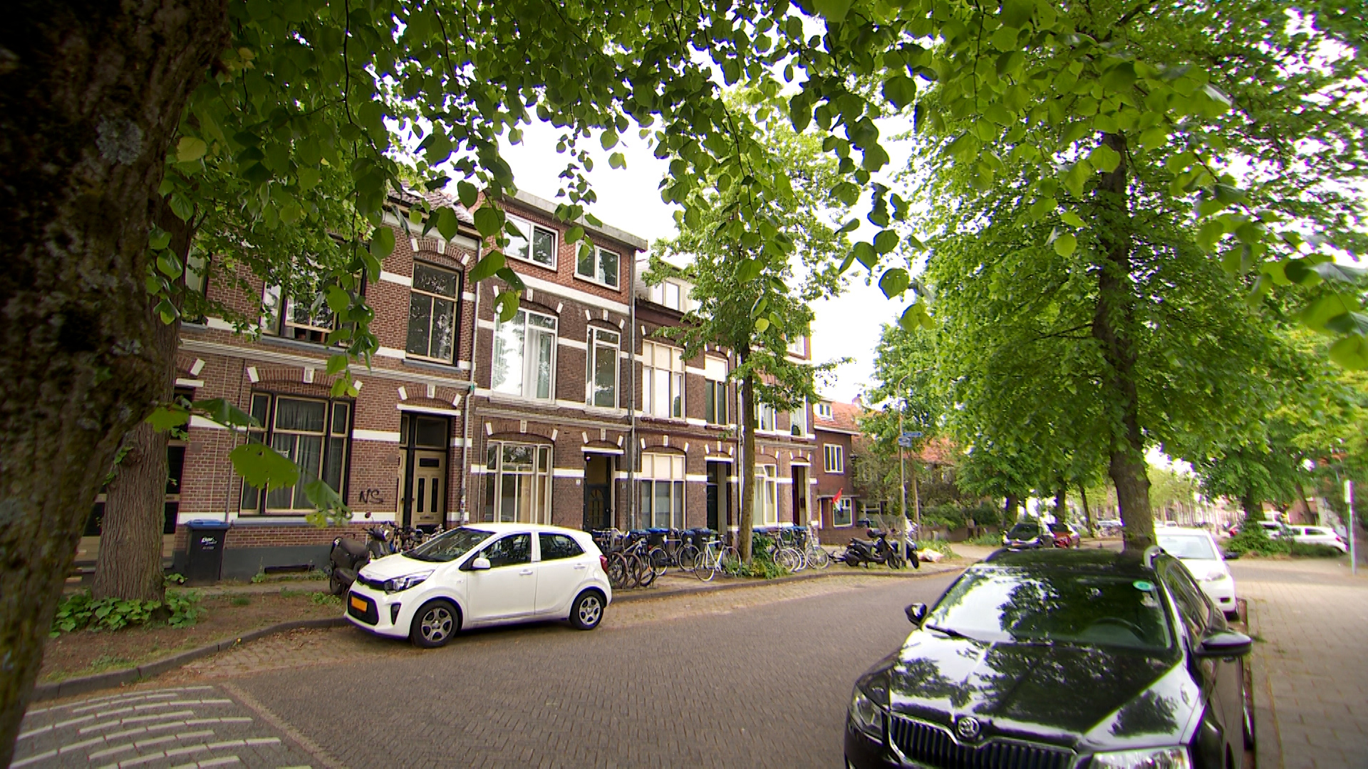 262193 Antw Nijmegen